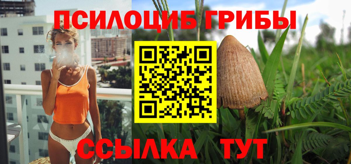 Галлюциногенные грибы MAGIC MUSHROOMS Тула